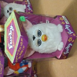 Rare, 1998, White Fruby, with Blue eyes.